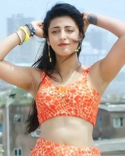 Naughty Shruti Haasan Sexy Pictures 16