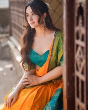 Nepali Actress Aditi Budhathoki n a Green and Orange Silk Saree Photos 01