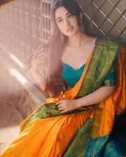 Nepali Actress Aditi Budhathoki n a Green and Orange Silk Saree Photos 02