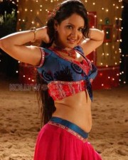 Puja Banerjee 60 Pooja Bose Hot Pictures
