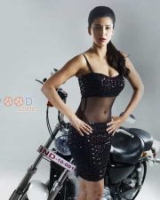 Poojai Movie Heroine Shruti Haasan Sexy Photos