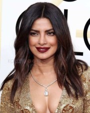 Priyanka Chopra New Hot Photos