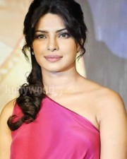 Priyanka Chopra Sexy Photos