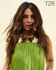 Priyanka Chopra Sizzling Photoshoot Stills 01