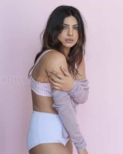 Priyanka Chopra Ultra Hot Photoshoot Photos