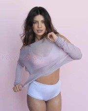 Priyanka Chopra Ultra Hot Photoshoot Photos
