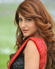 Race Gurram Actress Shruti Haasan Photo