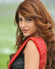 Race Gurram Actress Shruti Haasan Photo
