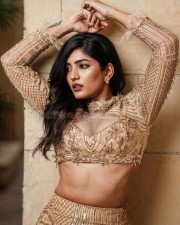 Ravishing Eesha Rebba in a Gold Blouse with a Matching Skirt Photos 02