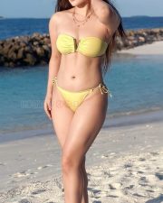 Seductive Nepali Beauty Aditi Budhathoki in a Yellow Bikini Photos 02 Seductive Nepali Beauty Aditi Budhathoki in a Yellow Bikini Photos 02