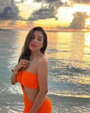 Seductive Sophie Choudry in an Orange Bodyhugging Dress Photos 04