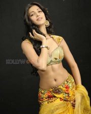 Sexy Actress Shruti Haasan Photos