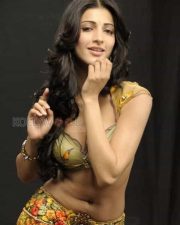 Sexy Actress Shruti Haasan Pictures
