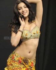 Sexy Actress Shruti Haasan Pictures