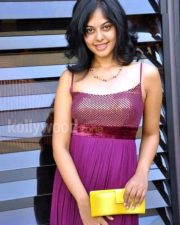 Sexy Bindu Madhavi Pics