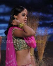 Sexy Bindu Madhavi Pictures