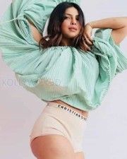 Sexy Bollywood Actress Priyanka Chopra Pictures