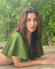Sexy Hot Sophie Choudry in a Crop Shirt with Tie Up Photos 01