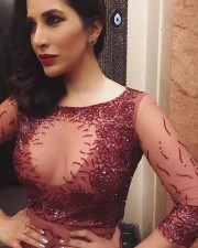 Sexy Indian Actress Sophie Choudry Photos