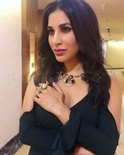 Sophie Choudry 33 Sexy Indian Actress Sophie Choudry Photos