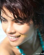 Sexy Priyanka Chopra Stills