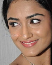 Sexy Tridha Choudary Hot Pictures