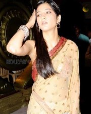 Shruti Haasan Sexy Saree Cleavage Pictures