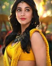 Shruti Haasan Traditional Dress Pictures 01