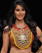 Sophie Choudry 25 Sophie Choudry Hot Photos