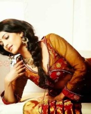 South Indian Actress Shruthi Haasan Hot Pictures