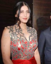 South Indian Actress Shruthi Haasan Sexy Pictures