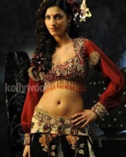 South Indian Actress Shruthi Hassan Sexy Pictures