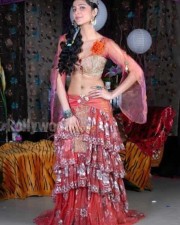 South Indian Actress Shruthi Hassan Sexy Pictures