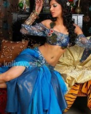 South Indian Actress Shruthi Hassan Sexy Pictures
