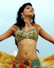 South Indian Actress Shruthi Hassan Sexy Pictures