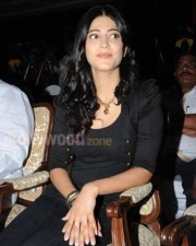 South Indian Actress Shruti Hassan Pictures