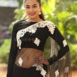 Stefy Patel 17 Stefy Patel At Ninnu Thalachi First Look Launch Event Photos