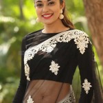Stefy Patel 8 Stefy Patel At Ninnu Thalachi First Look Launch Event Photos