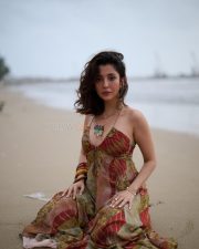Stunning Barkha Singh in Brown Beach Vacation Dress Pictures 02