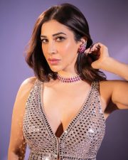 Stunning Sophie Choudry in a Sparkling Dress Pictures 01