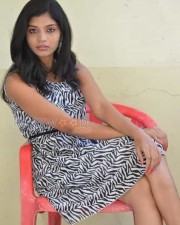 Telugu Actress Bindu Photos