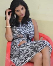 Telugu Actress Bindu Photos