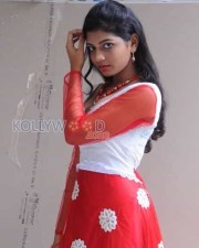 Telugu Actress Bindu Pictures