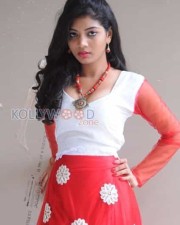 Telugu Actress Bindu Pictures