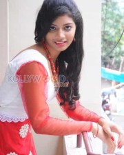 Telugu Actress Bindu Pictures