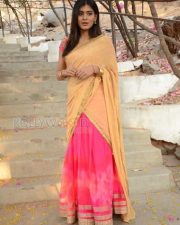 Telugu Actress Hebah Patel Saree Pictures