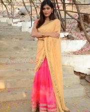 Telugu Actress Hebah Patel Saree Pictures
