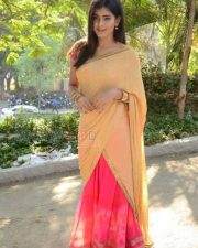 Telugu Actress Hebah Patel Saree Pictures