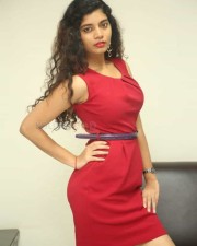 Tollywood Actress Bindu Barbie Pictures