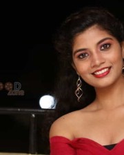 Tollywood Actress Bindu Photos